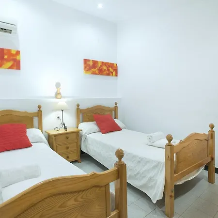 Owl Sedes - Dive Into Nature Villa