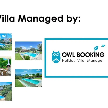 Owl Sedes - Dive Into Nature Villa